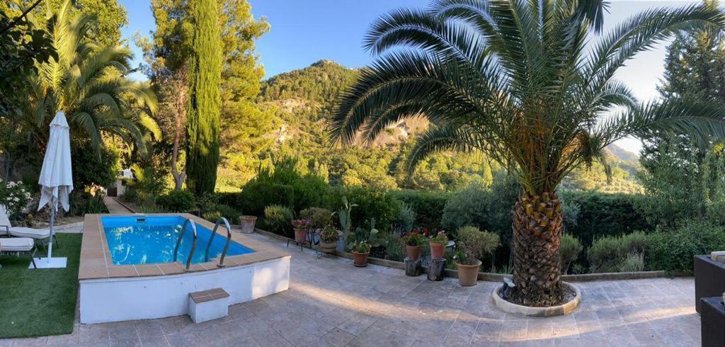 Nueva Cazorla Mirador Cerro Del Escribano Villa La Iruela Exteriör bild