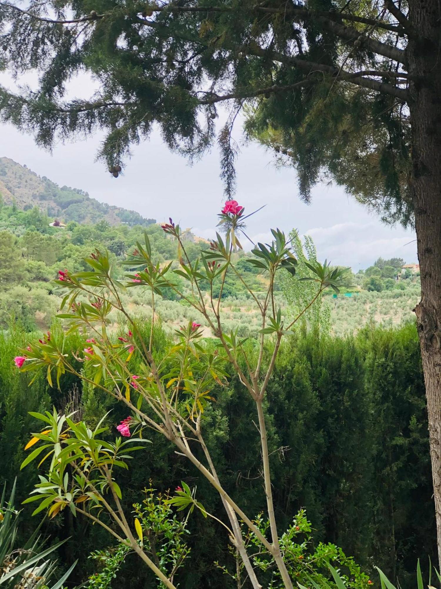 Nueva Cazorla Mirador Cerro Del Escribano Villa La Iruela Exteriör bild