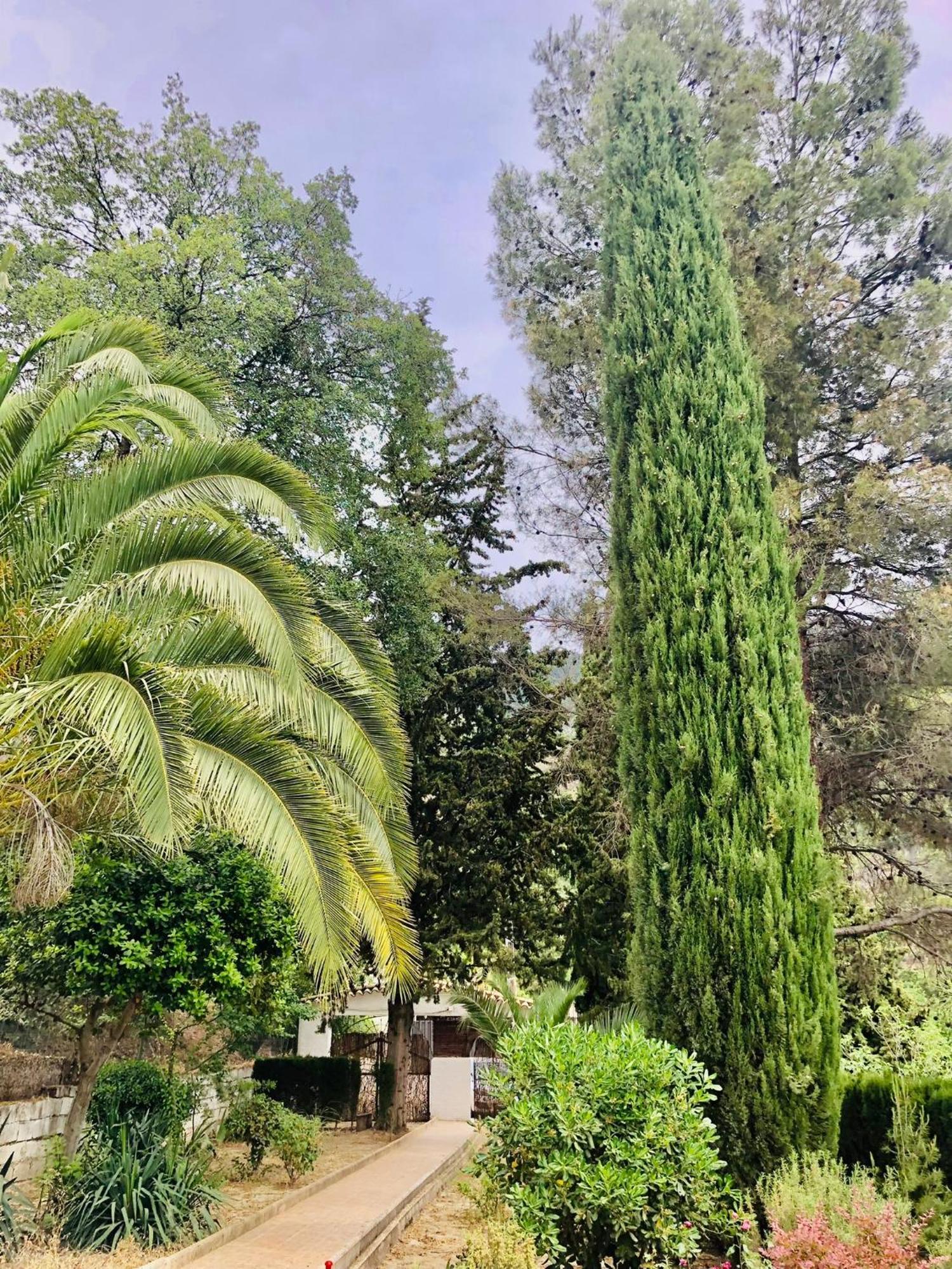 Nueva Cazorla Mirador Cerro Del Escribano Villa La Iruela Exteriör bild